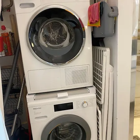 Duomo Giglio Viola Florencia