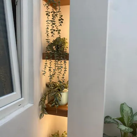 Apartament Duomo Giglio Viola *