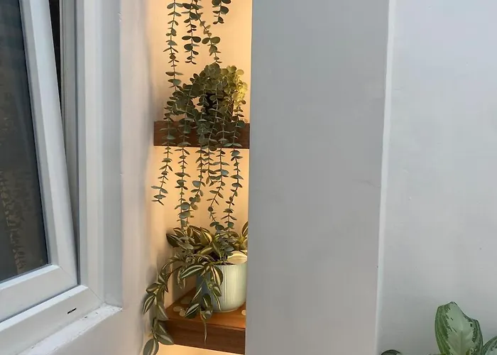 Appartement Duomo Giglio Viola *